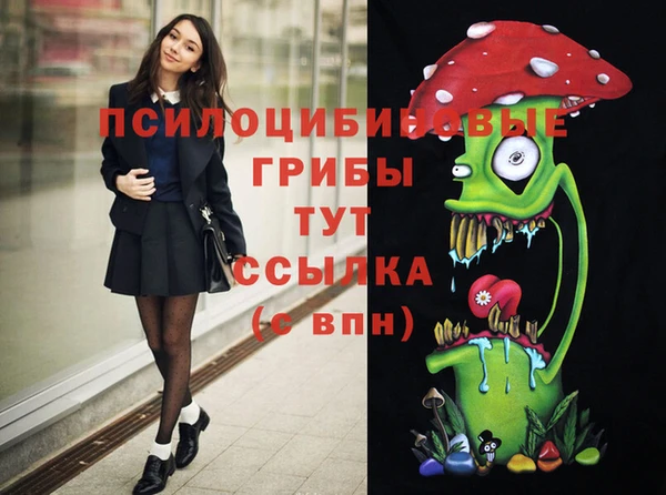 кокаин Бородино