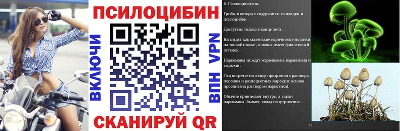 Купить где  Новосиль  Галлюциногенные грибы Magic Shrooms 