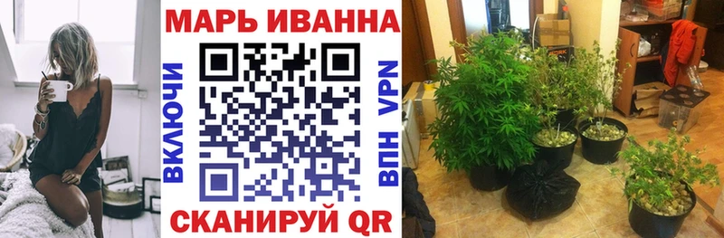 Купить  Новосиль  МАРИХУАНА ГИДРОПОН 